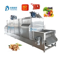 Complete Automatische Fruitgroenteverwerkingslijn Warmtedroogmachine Voor Droog Voedsel