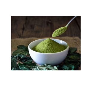 Poudre d'extrait de thé vert sauvage 98% polyphénols, supplément alimentaire naturel de qualité alimentaire pour boissons et cosmétiques - Product Image 1