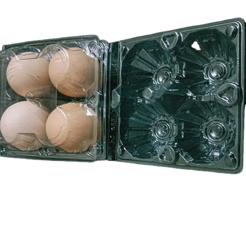 Nuevo producto Mesin Ferrero Collection Máquina T20 de bandeja de huevos de alta calidad