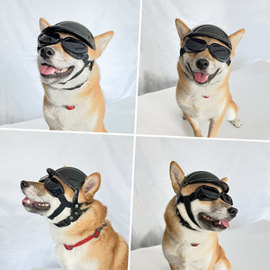 Lunettes <span class=keywords><strong>de</strong></span> soleil <span class=keywords><strong>pour</strong></span> <span class=keywords><strong>chien</strong></span> anti-UV, coupe-vent, <span class=keywords><strong>pour</strong></span> <span class=keywords><strong>moto</strong></span>, avec trous <span class=keywords><strong>pour</strong></span> les oreilles, <span class=keywords><strong>pour</strong></span> petits chiens, vente en gros - Product Image 2