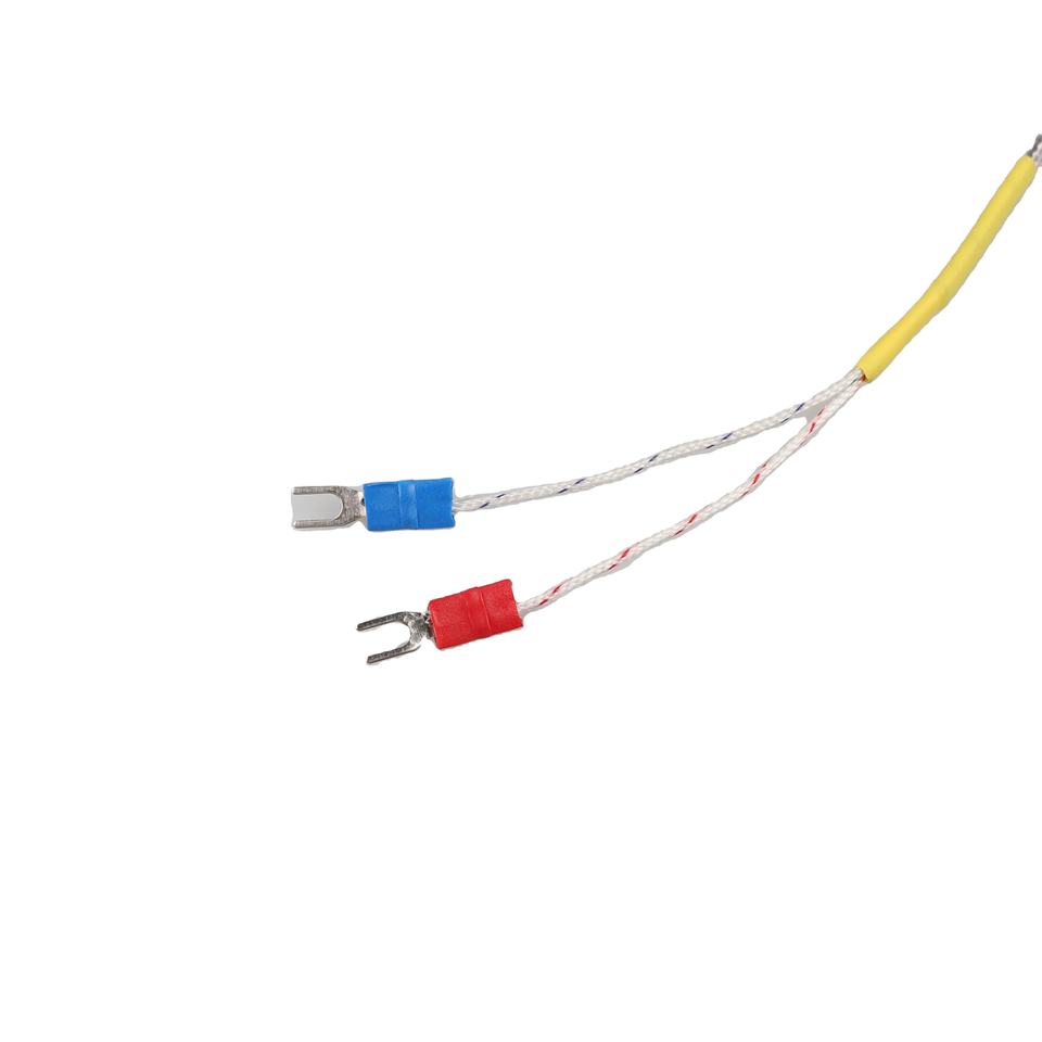 Plastic K-Type Thermocouple K4 Meter Temperature Controller OEM Customizable 0C~400C Range 1 Year Warranty Simple Screw Rod