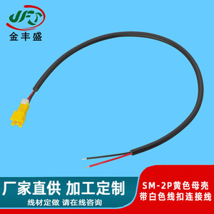 Jfs Golden Peak Sensor Extension Cable 2 Pin Sm2.54 Terminal Wire For Remote Control Toy Car Connection - Product Image 2