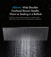Ensemble de douche SPA moderne en laiton brossé, douche de plafond thermostatique de luxe pour salle de bain