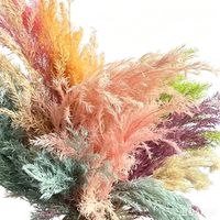 Pigne de cyprès éternelle séchée à l'air, branche de pignon de pin pour la fête des Mères, matériau DIY, longue durée de vie 3-5 ans