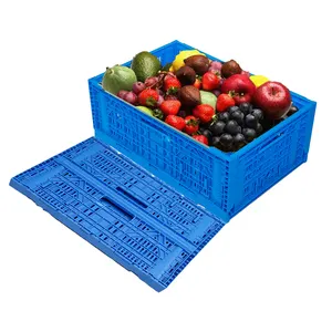 फल और सब्जी संग्रह के लिए फ़ोल्ड करने योग्य प्लास्टिक क्रेट बक्से टोकरी