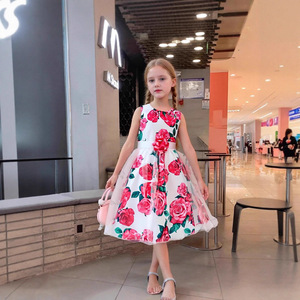 Robe sans manches à imprimé floral pour filles, style princesse plissé avec nœud, pour les spectacles et le quotidien K9 - Product Image 1