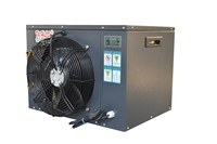 Machine de cryothérapie pour la récupération des athlètes, piscine d'hydrothérapie pliable, bain de glace, machine à froid avec pompe à compresseur, composants principaux