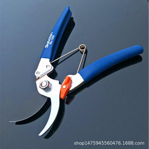 กรรไกรตัดแต่งกิ่งกระบองเพชร 1256 ใบมีดเหล็กคาร์บอน 60 มม. สำหรับกิ่งผลไม้และดอกไม้ ผลิตในญี่ปุ่น - Product Image 2