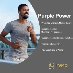 Huile MCT Biologique en Gummies Sans Sucre Marque Privée OEM/ODM – Excellent pour la Santé - Product Image 3