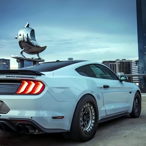 ล้อรถแข่งแบบ Drag Racing ขนาด 15x10 17x11 ขอบล็อค 5x114.3 น้ำหนักเบา ผลิตจากวัสดุฟอร์จ ลดราคาพิเศษ - Product Image 5