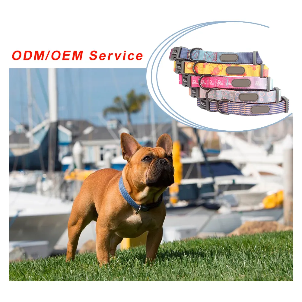 AI-MICH Personalized Custom Luxury Nylon Heat Transfer Dog Collar Leash