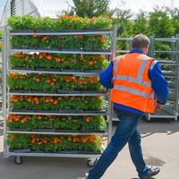 Gran oferta 2023 estantes de jardín extraíble multicapa soporte para plantas Soporte Planta Sata soporte para plantas móviles con ruedas