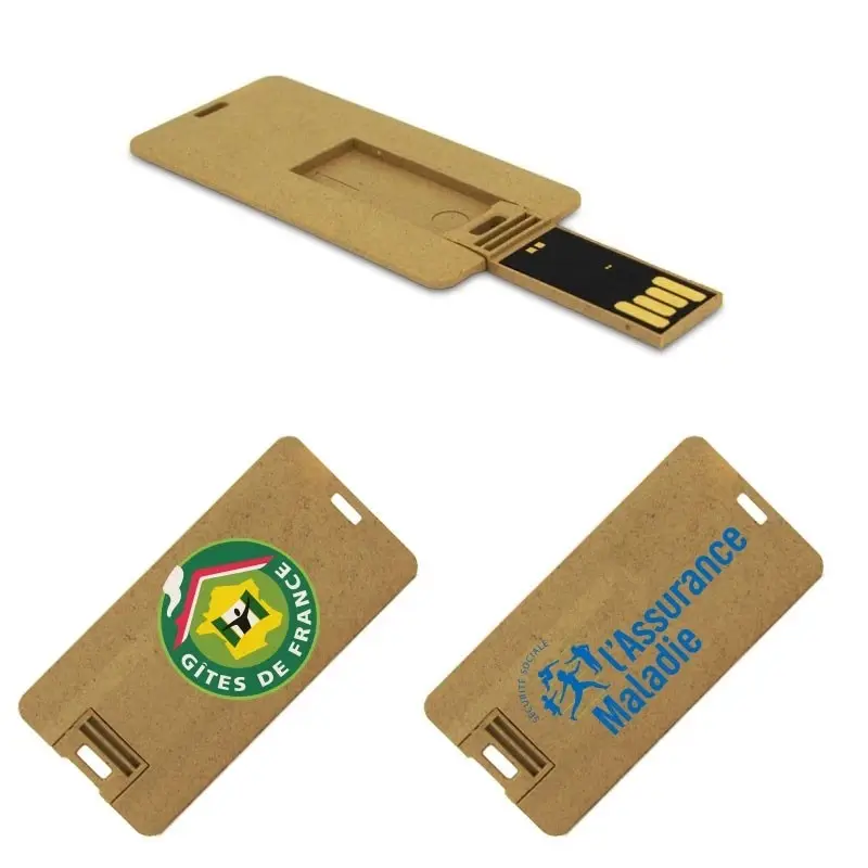 Clé USB en papier Kraft personnalisé, carte de visite écologique, pièces