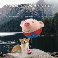 Jouet interactif pour chien écologique, balles rebondissantes en peluche, rechargeables, lavables, cochon de dessin animé, son électronique