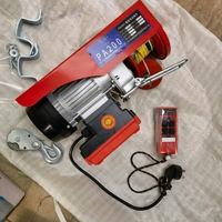 Meilleure Vente : Mini Treuil Électrique à Câble de 500 kg avec Télécommande pour Levage en Atelier Domestique
