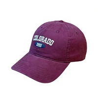 Casquette Dad Hat personnalisée délavée, brodée, à calotte souple, pour hommes et femmes, vente en gros