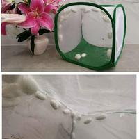 Cage à insectes en plastique pliable pour oiseaux d'élevage papillons mante avec maille Habitat grille cocon Net accessoires solides