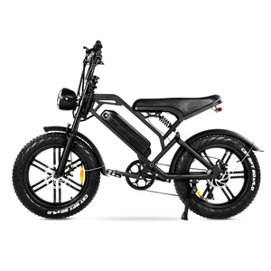 Bicicleta Eléctrica V20 con Ruedas Anchas (Fat Tire) de Suspensión Completa y 48V 250W 750W 1000W en Stock para UE, Freno de Disco Hidráulico de 48V 15Ah, Superpotencia <span class=keywords><strong>73</strong></span> Fatbike - Product Image 4