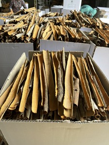 Canela Cassia Seca de Primera Calidad a Precio Económico, Hecha en Vietnam, Prensada o Sin Prensar - Product Image 2