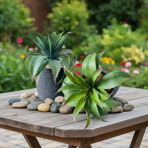Maceta de Plástico con Imitación Realista de Aloe <span class=keywords><strong>Vera</strong></span>, Planta en Maceta para el Día de San Valentín, Decoración de Mesa para el Hogar, Arreglo de Vegetación Verde - Product Image 1