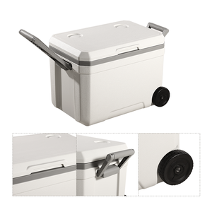 Nouvelle conception, glacière portable en plastique pour boissons, vin, <span class=keywords><strong>eau</strong></span>, grande capacité de 70 L, isolation extérieure, maintien au chaud des aliments, boîte rigide - Product Image 5