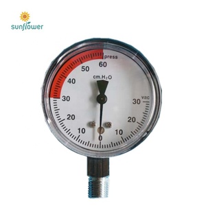 충칭 일반 금속 케이스형 기계식 부르동 침전물 압력 게이지 - Product Image 2