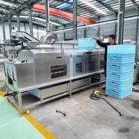 Continue tunnelvormige palletwasmachine met droog- en desinfectiesysteem voor het reinigen van bakblikken in bakkerijen