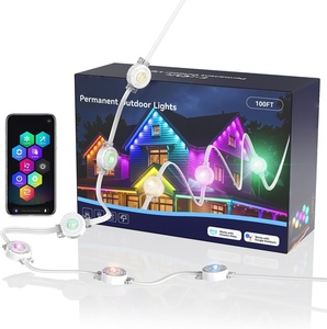 High Quality 0.96W 12V Ucs2904 Permanent Outdoor Led <b>Light</b> Points Gemstone Christmas Pixel <b>Light</b> RGBW IP68 Waterproof - Product Image 1