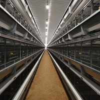 Cage à poules pondeuses galvanisée à chaud, entièrement automatique, de type H, pour l'élevage de poulets pondeurs en ferme avicole