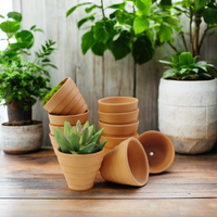 Petit pot de fleur en terre cuite de 2 pouces en céramique pour la maison, le jardin et la pépinière.