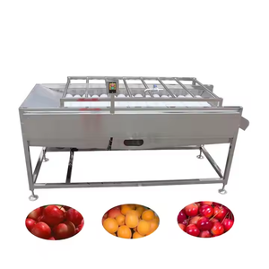 High Pressure 304 Stainless Steel Engine-Powered <b>Fruit</b> & <b>Vegetable</b> Washing <b>Machine</b> with Easy Operation - Product Image 1