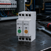 Disjoncteur intelligent WiFi 60A 1P MCB en cuivre PA66, capacité de coupure 6kA, montage sur rail, télécommande sans fil 220V