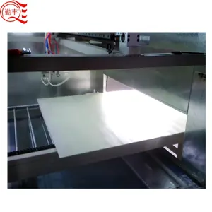 Automatische UV-Sprüh lackier maschine für Kunststoff und Sprüh lackier linie für Holztür