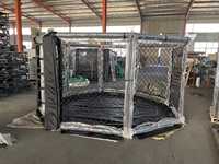 Ring de boxe d'occasion de haute qualité pour entraînement sportif créatif, cage MMA, octogone MMA, dimensions 6x6m et 7x7m