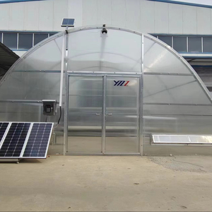 Secador <span class=keywords><strong>Solar</strong></span> Industrial YMZZ para Cacao Capacidad de 500 KG Garantía de 1 Año Origen Shandong - Product Image 1