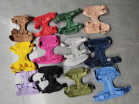 Harnais pour chien en PVC personnalisé avec lettres 3D, laisse pour chien et ensemble de harnais réglable pour chien avec collier personnalisé