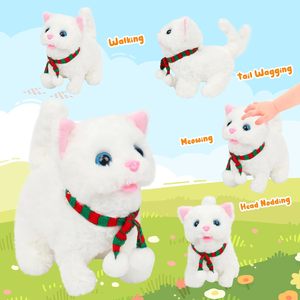 मीइंग पूंछ waging सिर नोडिंग बिल्ली बिल्ली बिल्ली बिल्ली बिल्ली बिल्ली बिल्ली बिल्ली बिल्ली मुर्गा मुर्गा - Product Image 5