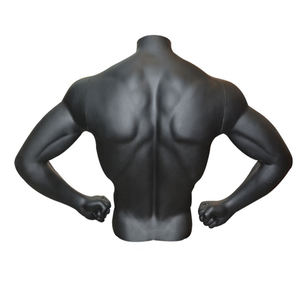 Demi-haut du corps torse Muscle Man <span class=keywords><strong>Mannequin</strong></span> - Product Image 5