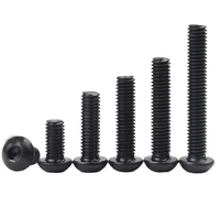 Vente d'usine Boulon en titane noir Gr5 M4 M5