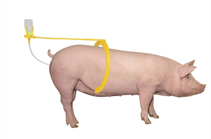 Soporte de abrazadera de clip auxiliar de inseminación Artificial ajustable Flexible de plástico de calidad para instrumento de inseminación <span class=keywords><strong>veterinaria</strong></span> - Product Image 6
