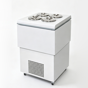 Vitrina Pozzetti con 4 Recipientes de Acero Inoxidable, Congelador Comercial, Gabinete para Helados, Temperatura Única, Descongelación Automática - Product Image 1