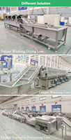 Automatische Groentewasverwerkingsmachine Dragon Fruit Avocado Sortering Wash Waxen Productielijn