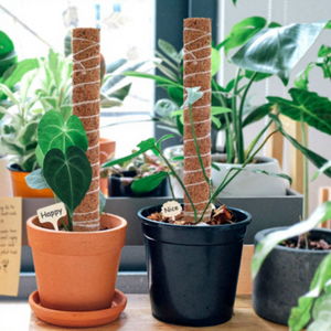 Natural Coconut Coir Moss Poles for Climbing <b>Plants</b>, Custom <b>30cm</b>-160cm Eco-Friendly <b>Plant</b> Support Stakes, Eco2go Vietnam - Product Image 4