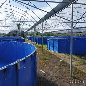 Équipement du système Ras de pisciculture pour Shol / Snakehead Murrel / <span class=keywords><strong>Channa</strong></span> Striata - Product Image 2