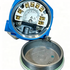 Endress+Hauser ITEMP TMT31-B2A1B1A1 Sensor de Temperatura Intrínsecamente Seguro a Prueba de Explosiones - Product Image 1