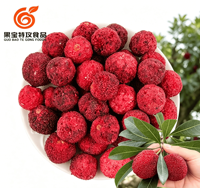 Premium Natuurlijk Gevriesdroogde Bayberry Zonder Toegevoegde Suiker Gezonde Gevriesdroogde Gehele Waxberry Fruit Snack