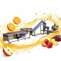 Complete automatische productielijn voor vruchtensap, inclusief sinaasappel-, appel- en mangosapverwerkingsmachine