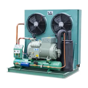 Le unità di condensazione ad alta efficienza energetica prodotte dai produttori di fonti vengono utilizzate nelle celle frigorifere e nei negozi di ristoranti
