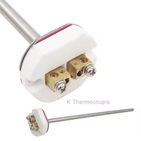Thermocouple de type K avec noyau en acier inoxydable WRN-010, contrôleur de température pour four expérimental, résolution 1°C, capteur de température