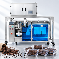 Machine sous vide horizontale en acier inoxydable 304 pour le café, les aliments pour animaux de compagnie, le soja, système automatique de remplissage et d'emballage de sachets en plastique/papier